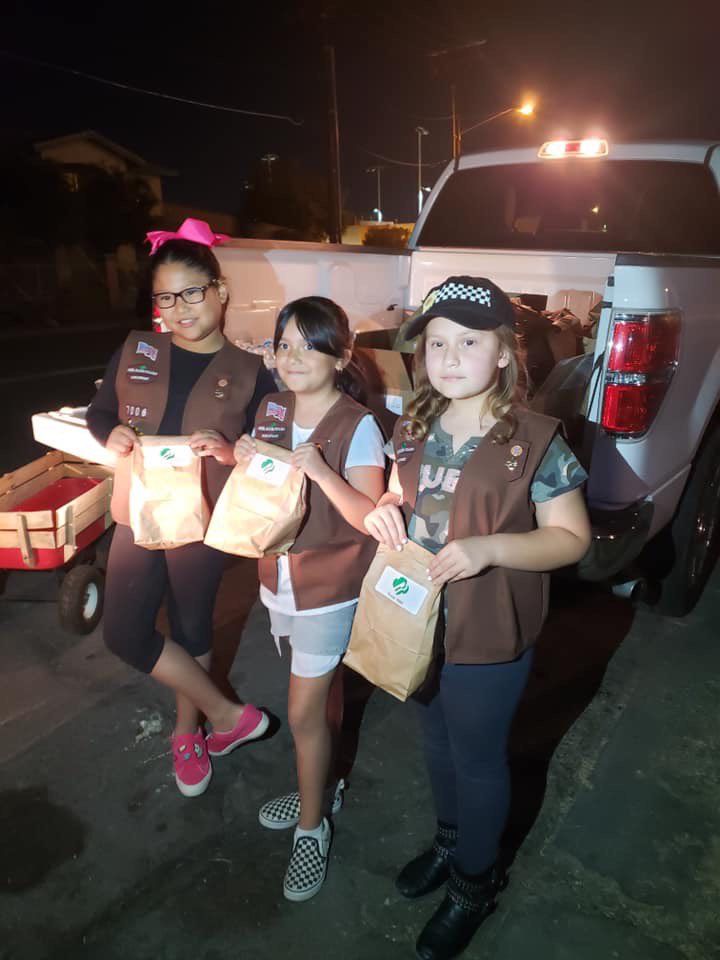 Area Girl Scouts keep busy serving community